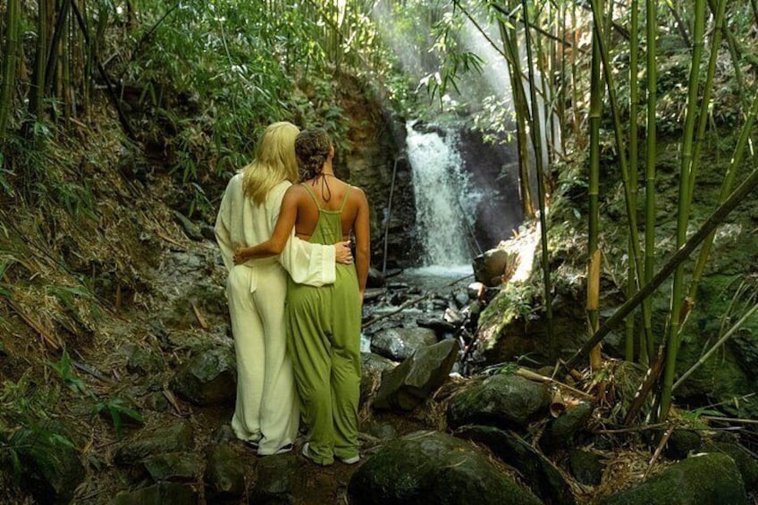 Private Hana Waterfall Jungle Hike Professional Photos Optional 3