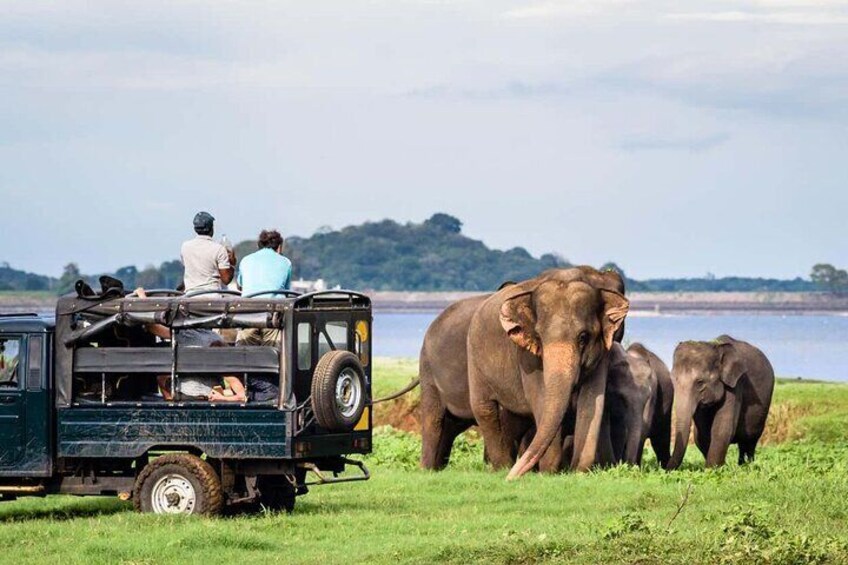 Een safarivoertuig met mensen die olifanten observeren in een grasrijk gebied nabij water. 1