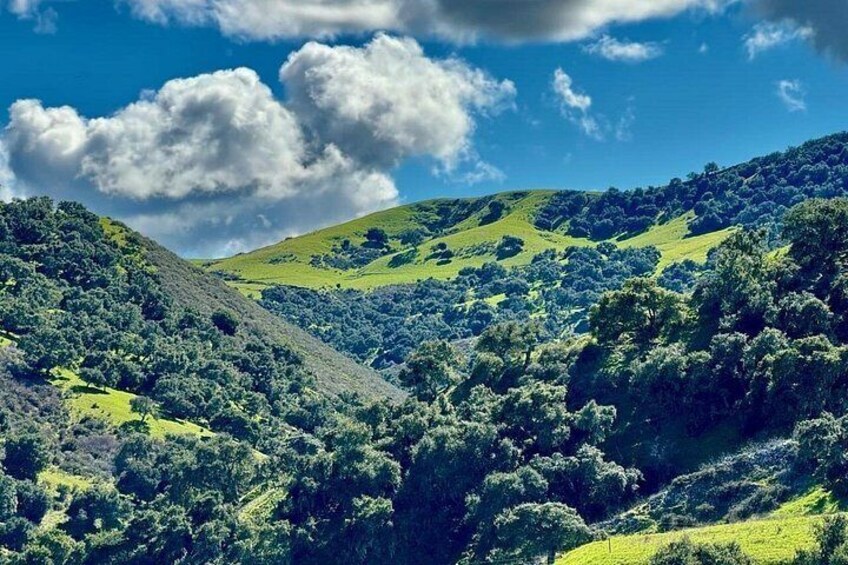 Views from cattle ranch 5