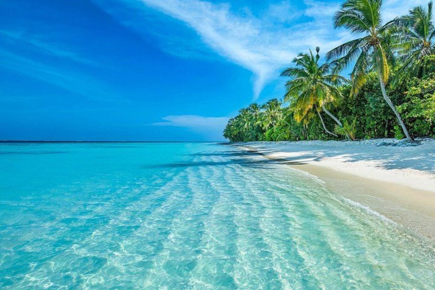 A beach with clear turquoise water, white sand, and palm trees. 2