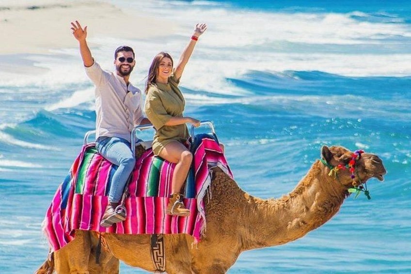 A camel with a colorful blanket and a person riding it, with the ocean in the background. 2