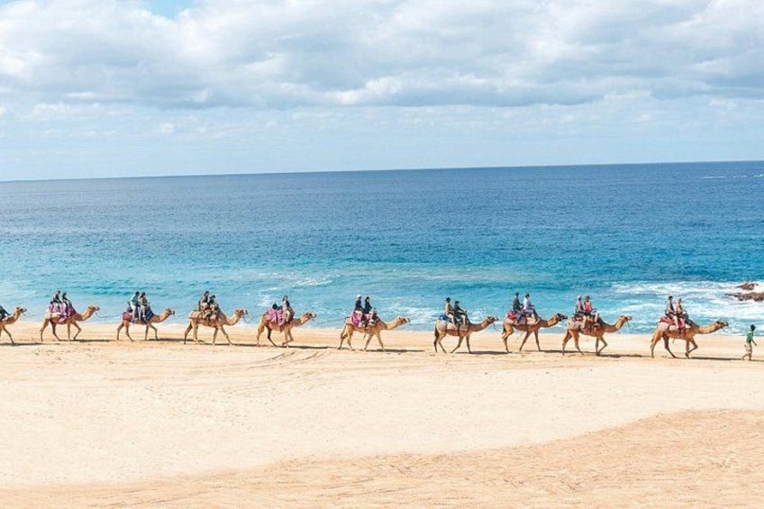 A beach with people riding camels. 4