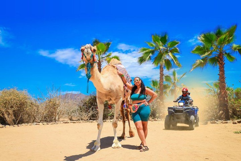 A camel, a person on a quad bike, and palm trees in a desert. 1