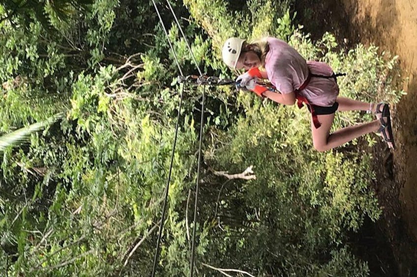 A person zip-lining through a forested area. 2