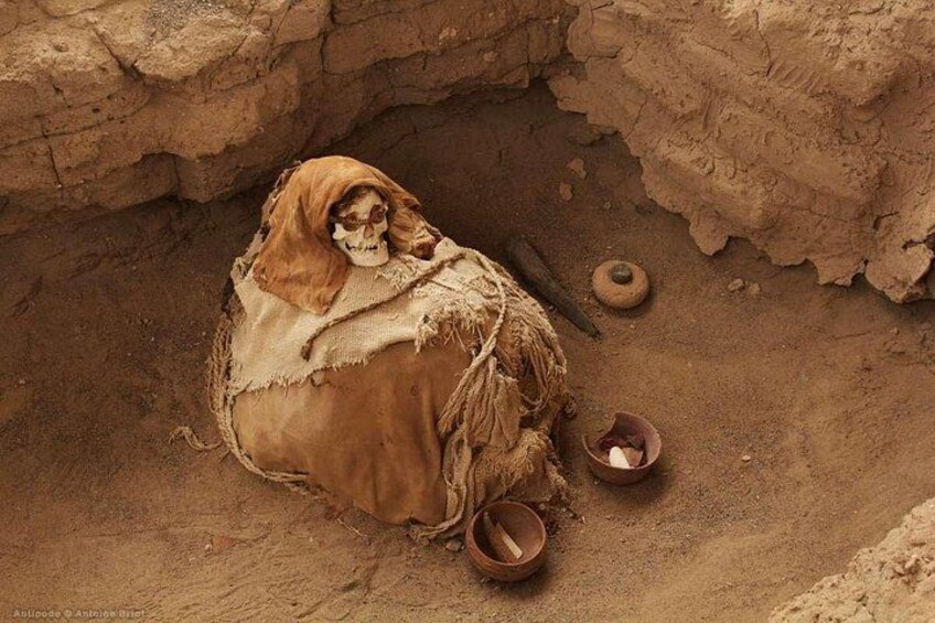 Un squelette enveloppé dans une couverture, gisant dans une tombe peu profonde, avec des fragments de poterie et un bol à proximité. 1