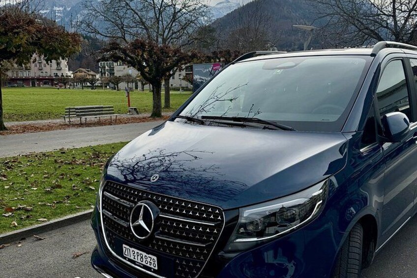 Swiss Alps from Lucerne - Private Day Tour 3