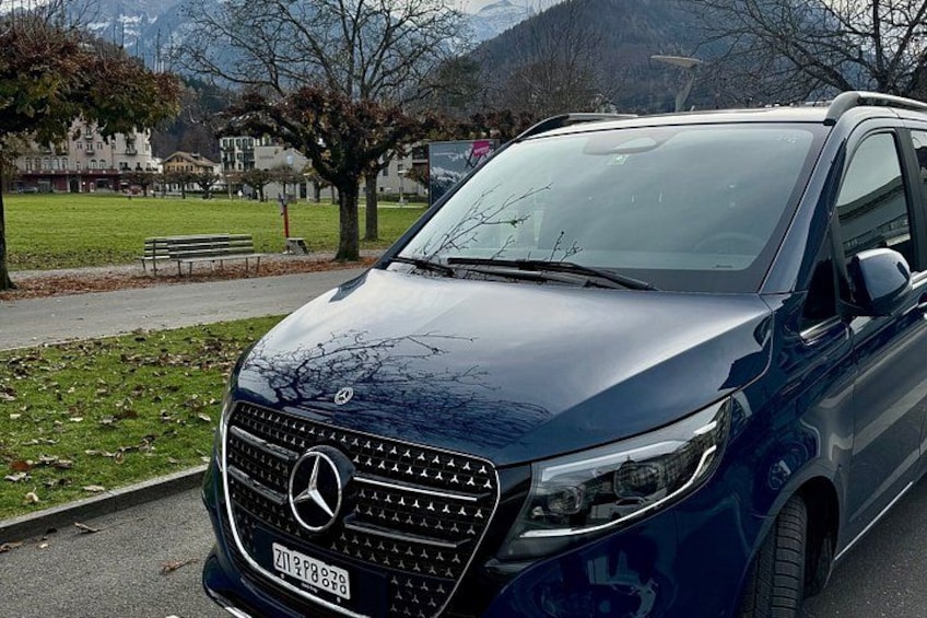 Swiss Alps from Lucerne - Private Day Tour 4