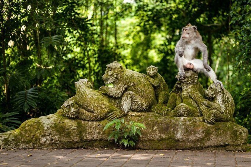 A stone sculpture of lions in a forested area. 4