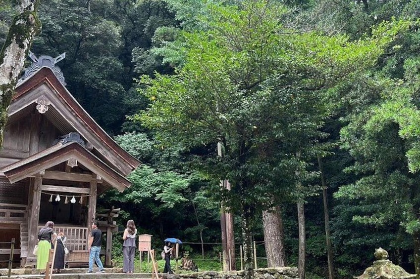 Un bâtiment traditionnel en bois, doté d’un toit en pente et entouré d’arbres verdoyants et luxuriants. 5