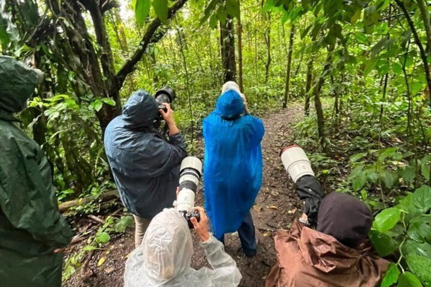 Birding and Photography Tour 1