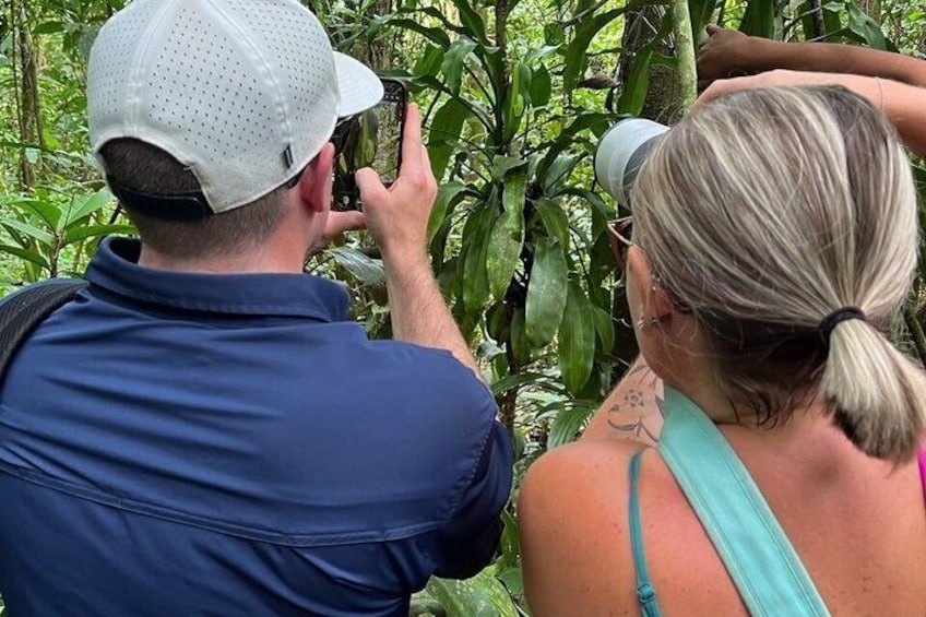 Birding and Photography Tour 4