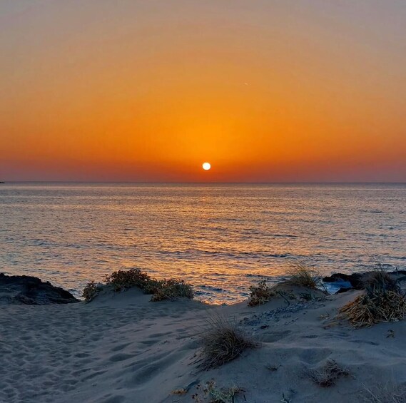 Ein Sonnenuntergang über einem ruhigen Meer mit einem Sandstrand im Vordergrund. 5