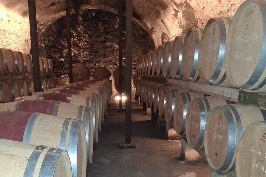 A wine cellar with rows of wooden barrels. 4