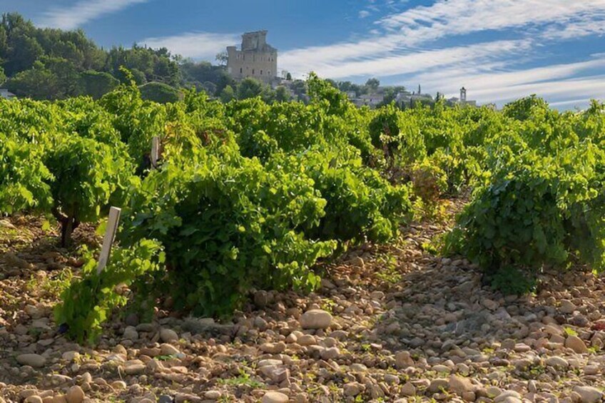 Inside Châteauneuf-du-Pape: A Wine Experience 2