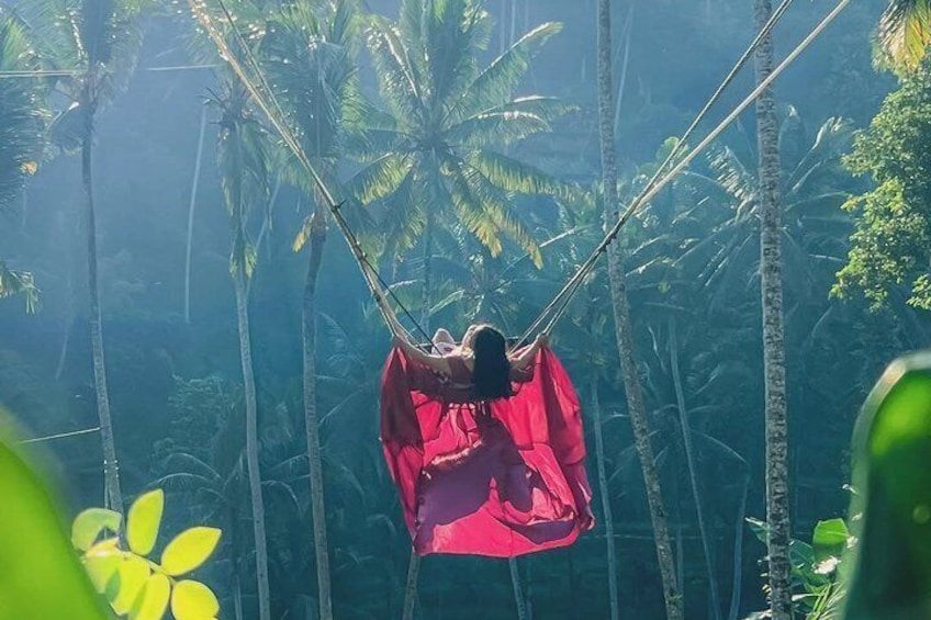 A person swinging on a rope between tall palm trees in a tropical forest. 5