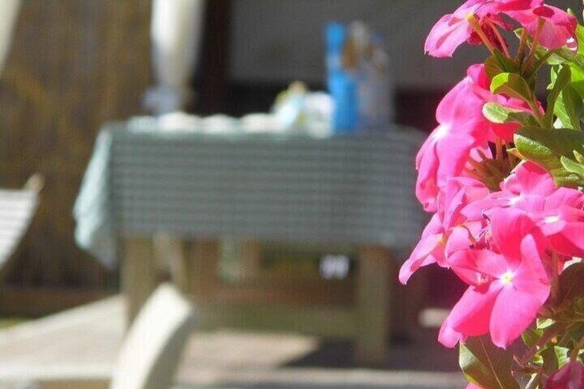A table with a green tablecloth, pink flowers in the foreground, and a blurred background. 2