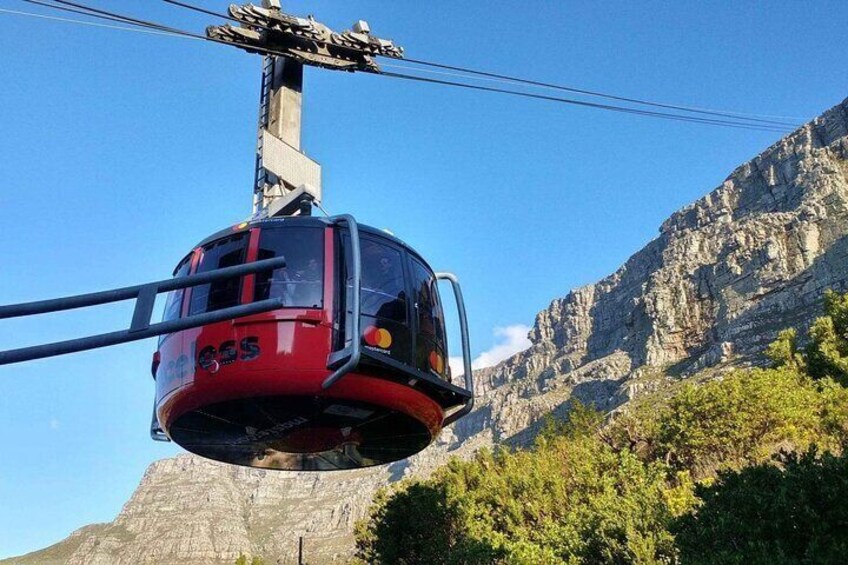A red cable car with the number 565 suspended between two towers, against a backdrop of rocky mountains and green trees. 4