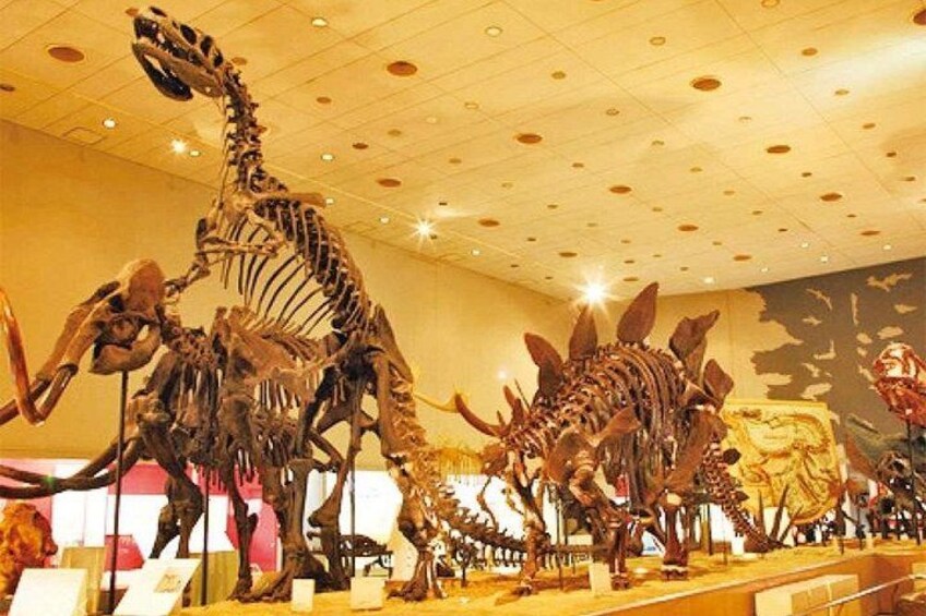 Osaka Tourist Attractions Pass – Access to 30+ Top Attractions 2