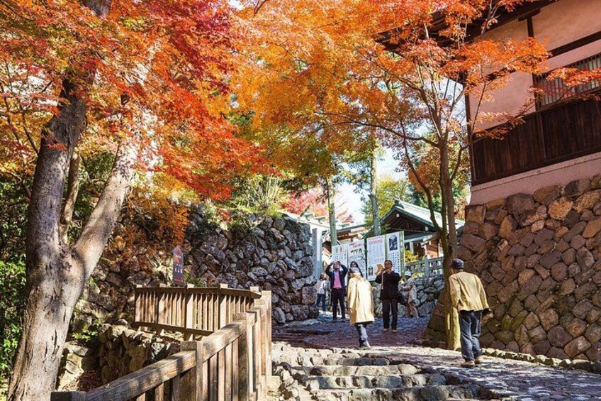 From Nagoya: Inuyama Castle and Tea Half-Day Tour (small group) 3