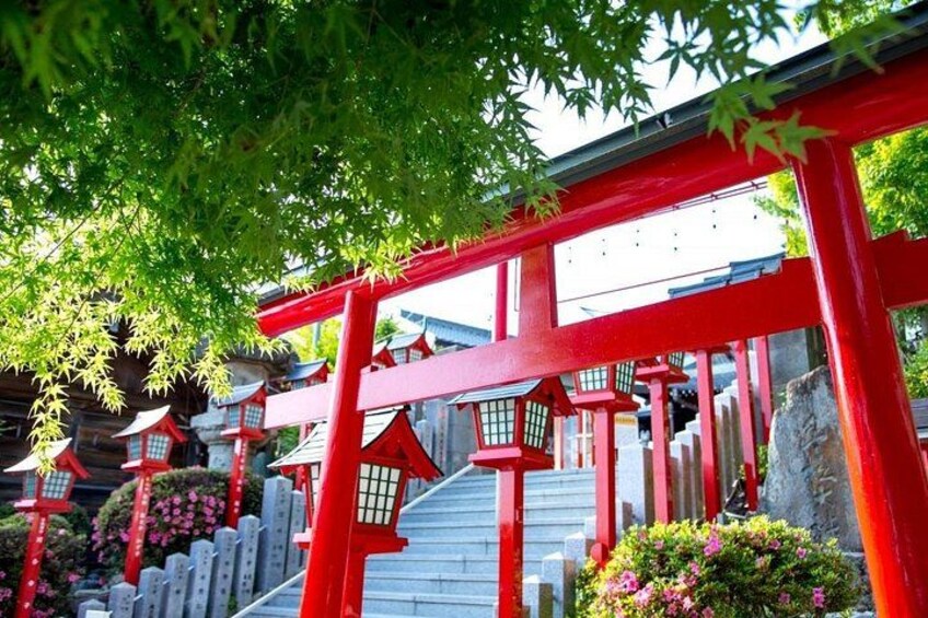 From Nagoya: Inuyama Castle and Tea Half-Day Tour (small group) 4