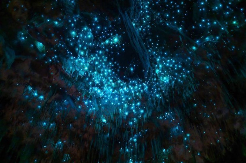 Un bosque con luces azules brillantes. 2