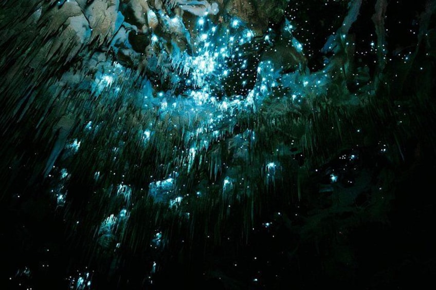 A cave with bioluminescent algae. 2