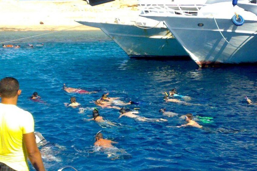 People swimming in a body of water with boats in the background. 1