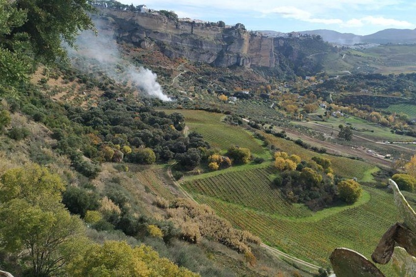 A valley with vineyards, a cliff, and a building emitting smoke. 1