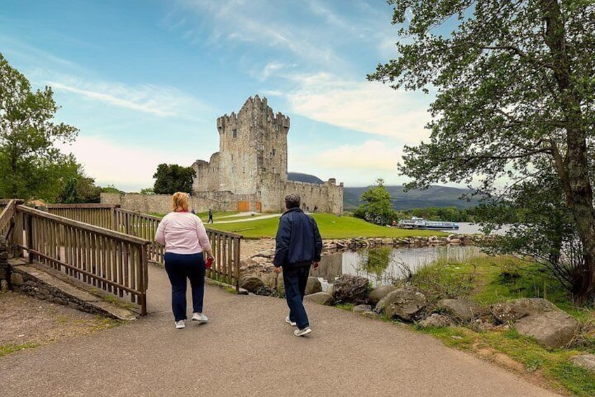 A castle overlooking a body of water, a wooden bridge, and a grassy area. 2