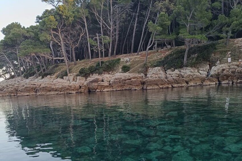 Glass Boat Panorama/Sunset around Dubrovnik Old Town and Caves 3