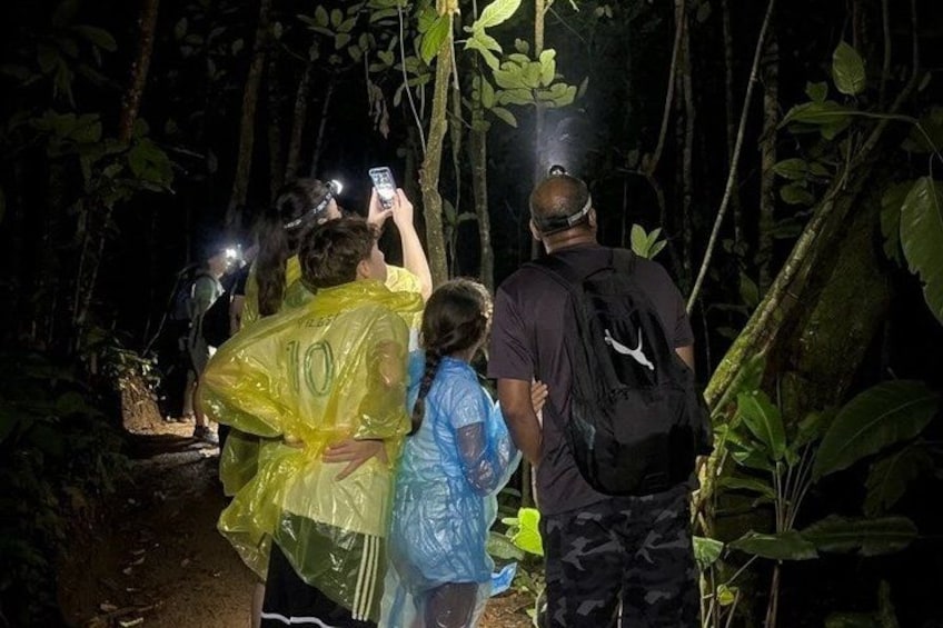 Personer befinner sig i ett skogsområde, några har på sig regnponchos och tar bilder med en smartphone. 1