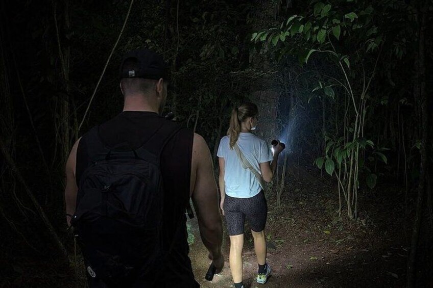 Night Tour at Bijagua Hidden Gems 1