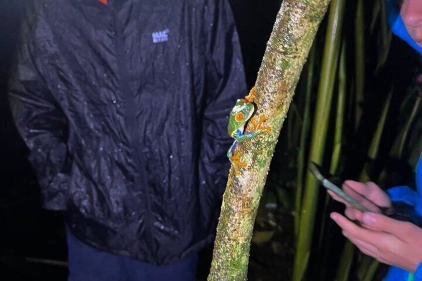 Night Tour at Bijagua Hidden Gems 2