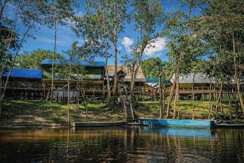 Traditional Ayahuasca Ceremony – One Guided Session in Iquitos 2