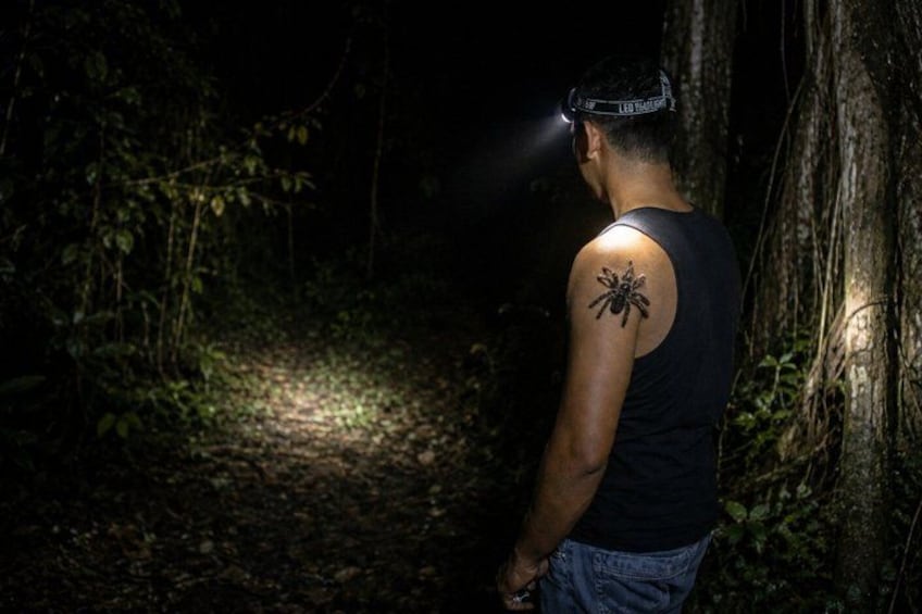 A person walking in a forest at night with a flashlight. 3
