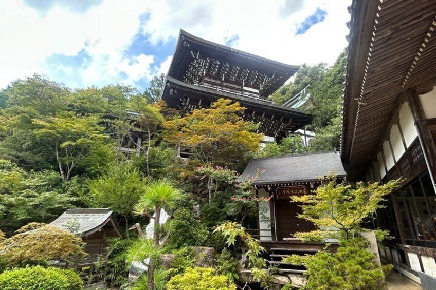 Hiroshima and Miyajima 6 and half Hour Guided Tour 3