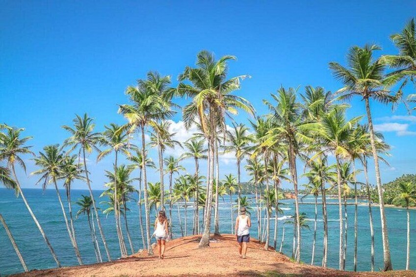 Mirissa Beach 1