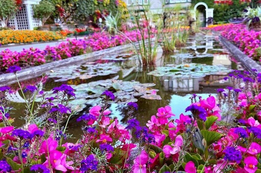 Un jardin avec un étang, des fleurs aux couleurs vives et un sentier. 5