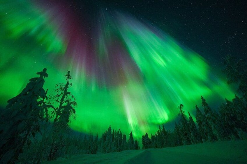 Northern Lights Rovaniemi: 100% Money-Back Guarantee & Photos 2