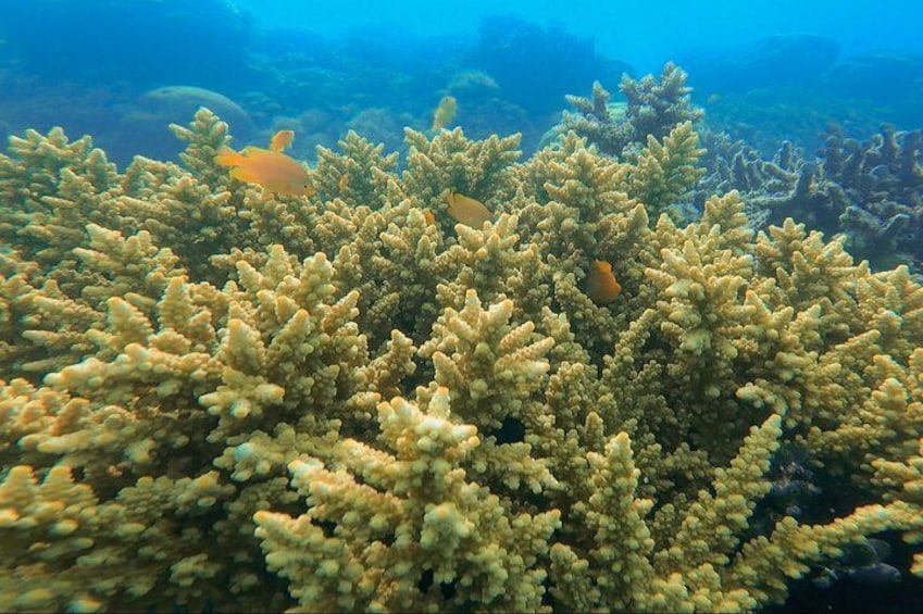 Explore Gili Kedis with Lombok Private Wooden Raft Tour 2