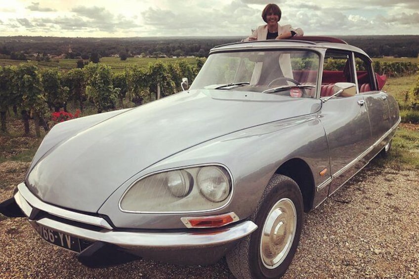 A vintage car parked in a vineyard. 3