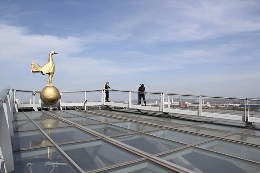 Tottenham Hotspur Stadium Tour and The Dare Skywalk in London 2