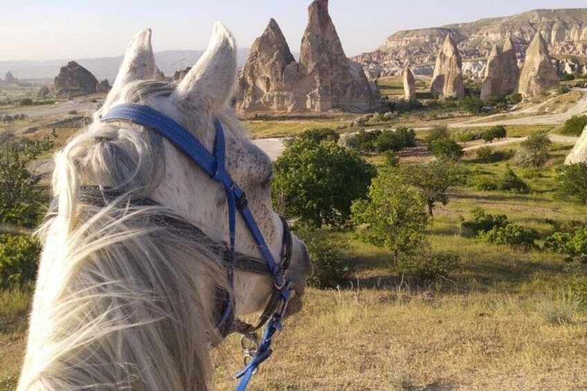 Un caballo blanco con una cabra azul en un campo con formaciones rocosas características al fondo. 5