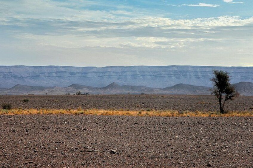 A barren landscape with a single tree and distant hills under a cloudy sky. 3
