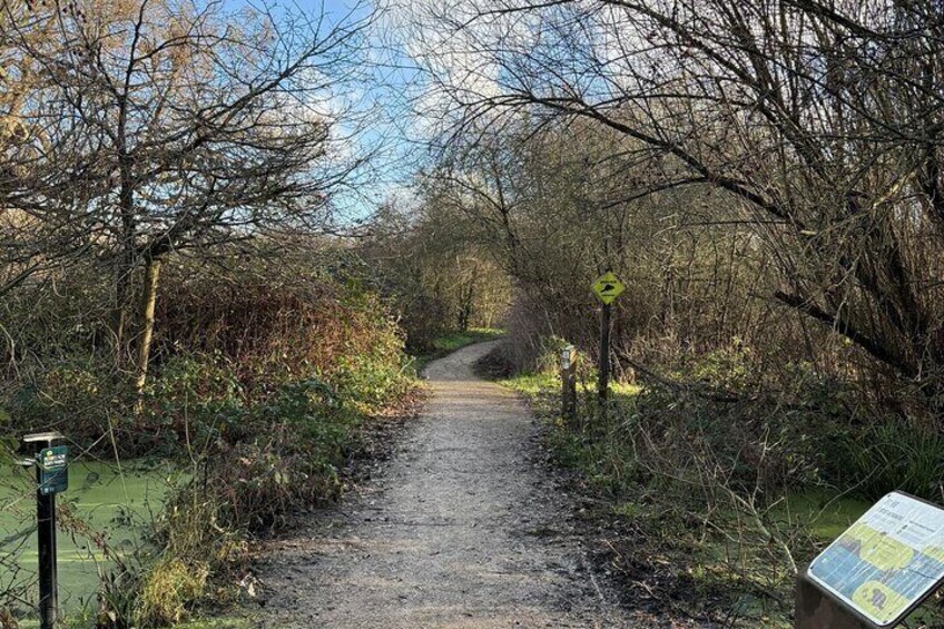 A narrow rural path surrounded by trees and vegetation. 1