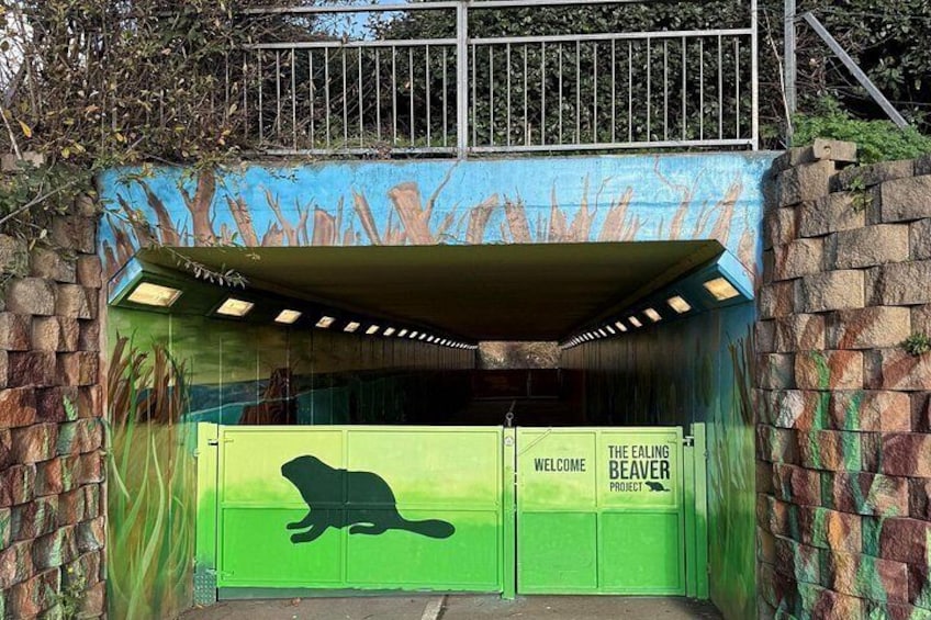 The Ealing Beaver Project: A Self-Guided Walking Tour 4