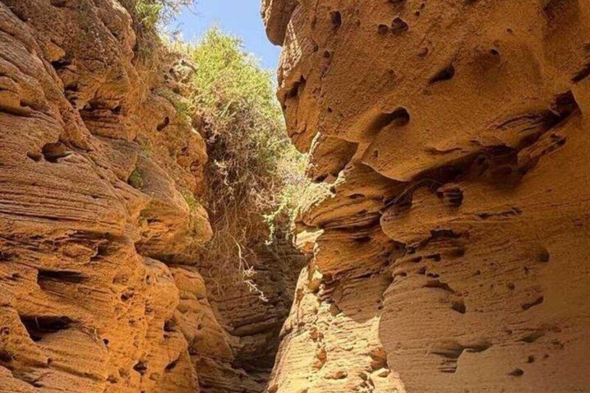 A canyon with layered rock formations and sparse vegetation. 3