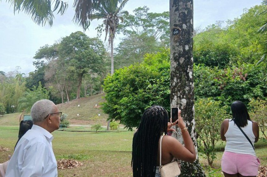 Un grupo de personas de pie en un parque con árboles y una colina cubierta de césped al fondo. 5
