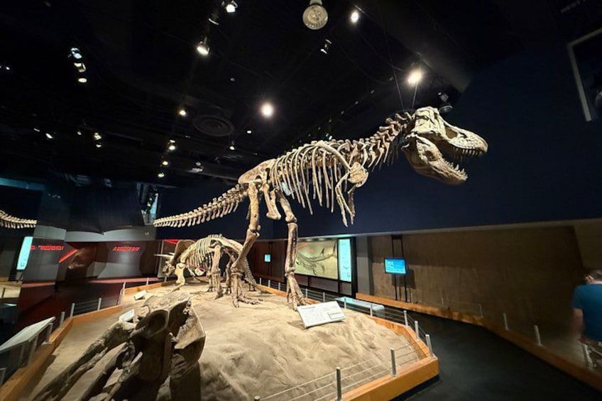Drumheller & Hoodoos Private Luxury guided Day Tour from Calgary 1