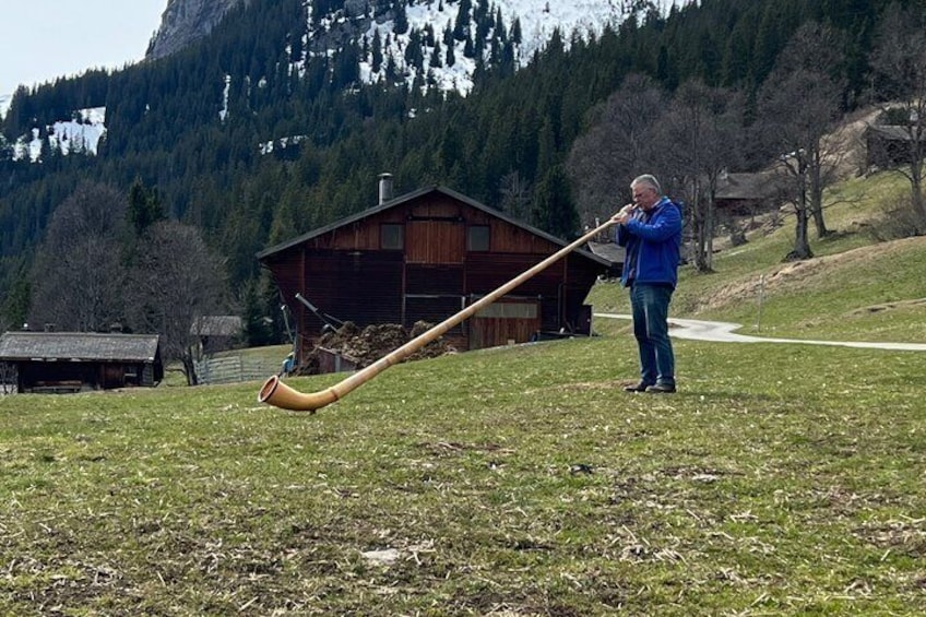 Zurich Day Trip to the Bernese Alps 4